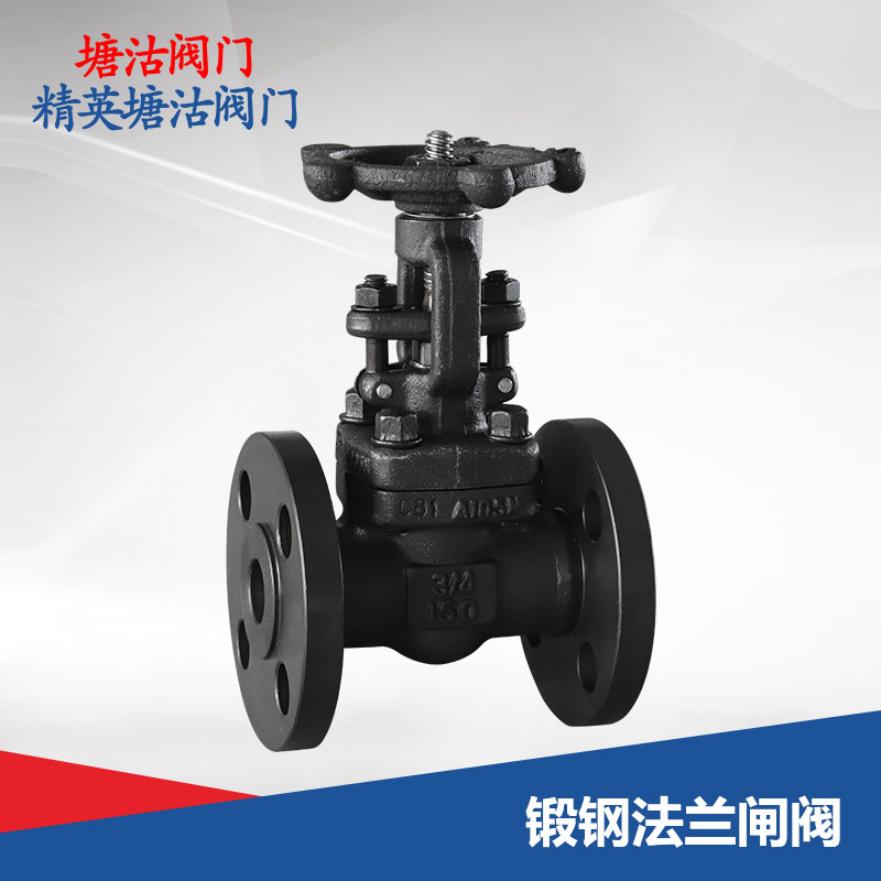 锻钢法兰闸阀