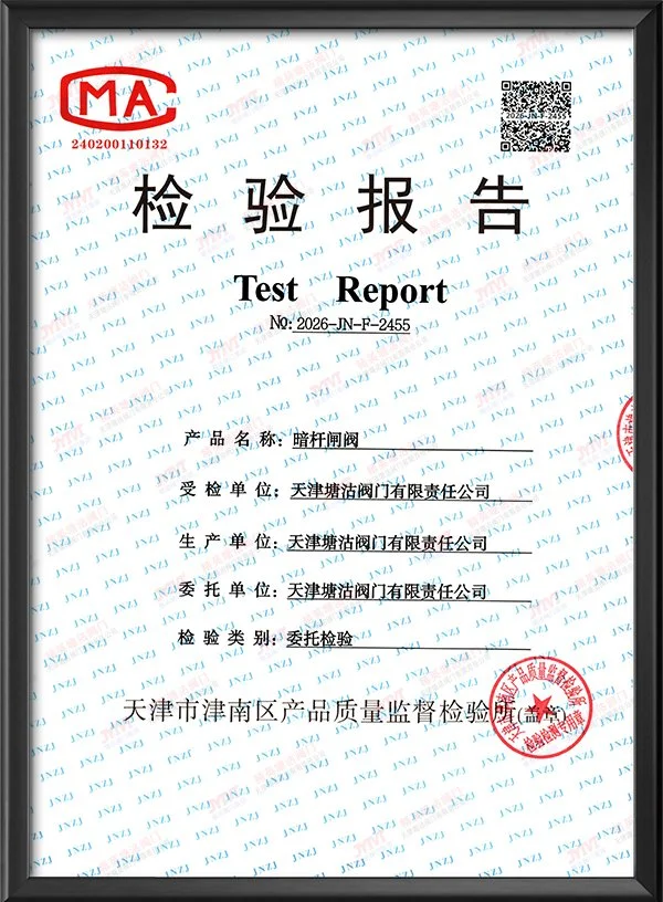 检验报告-暗杆闸阀