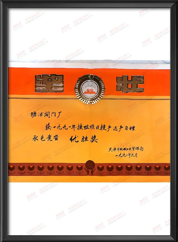 1991年技改项目投产达产目标承包竞赛优胜奖